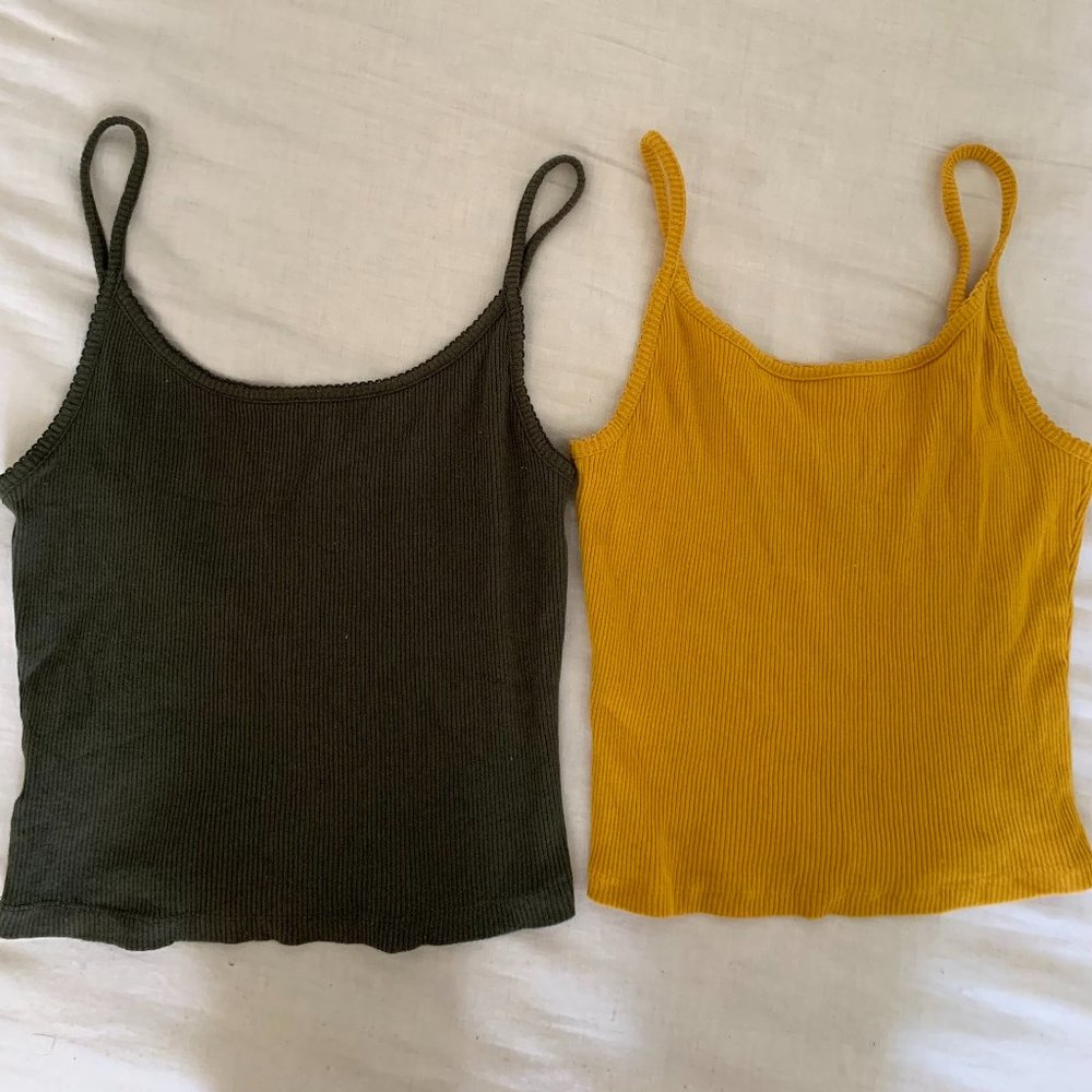 Wild Fable Crop Tees Set of 2